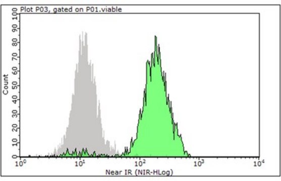 Anti-CD11c Antibody (human), PE-Cy7, clone 3.9 clone 3.9, from mouse