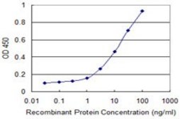 Monoclonal Anti-FOS antibody produced in mouse clone 2D11, purified immunoglobulin, buffered aqueous solution
