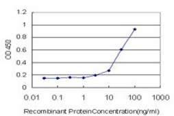 Monoclonal Anti-PSMB6 antibody produced in mouse clone 2A3-5A8, purified immunoglobulin, buffered aqueous solution