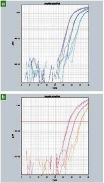 FastStart Universal Probe Master (Rox) sufficient for 250&#160;reactions, sufficient for 1250&#160;reactions, sufficient for 5000&#160;reactions, suitable for qPCR, suitable for RT-qPCR