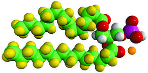14:0 PA-d54 Avanti Research™ - A Croda Brand, powder