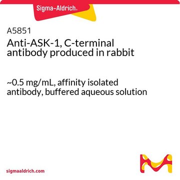 Anti-ASK-1, C-terminal antibody produced in rabbit ~0.5&#160;mg/mL, affinity isolated antibody, buffered aqueous solution