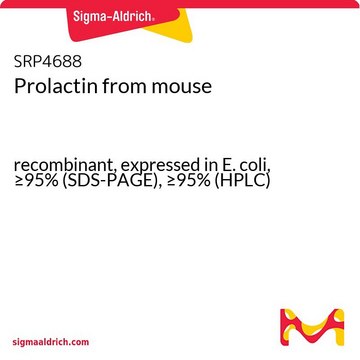 Prolactin from mouse recombinant, expressed in E. coli, &#8805;95% (SDS-PAGE), &#8805;95% (HPLC)