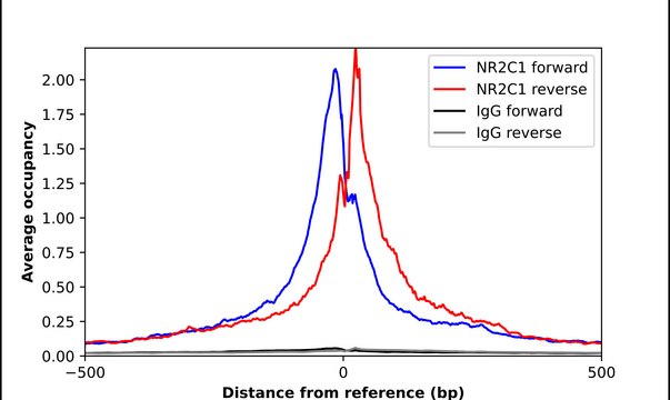 Anti-NR2C1 antibody produced in rabbit Prestige Antibodies® Powered by Atlas Antibodies, affinity isolated antibody