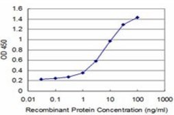 Monoclonal Anti-TP53RK antibody produced in mouse clone 3D7, purified immunoglobulin, buffered aqueous solution