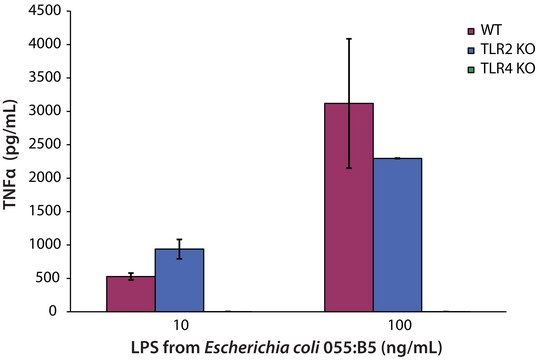 脂多糖 来源于大肠杆菌 055:B5 purified by ion-exchange chromatography, TLR ligand tested