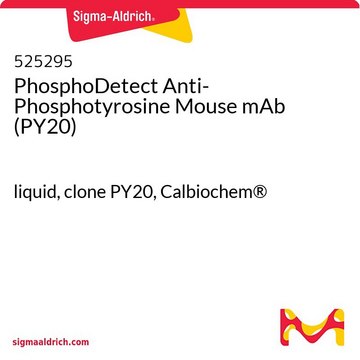 PhosphoDetect Anti-Phosphotyrosine Mouse mAb (PY20) liquid, clone PY20, Calbiochem&#174;