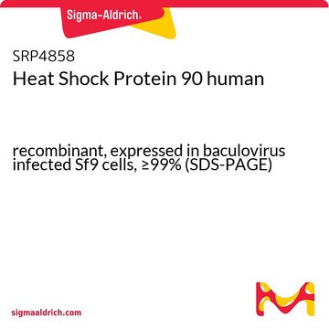 Heat Shock Protein 90 human recombinant, expressed in baculovirus infected Sf9 cells, &#8805;99% (SDS-PAGE)