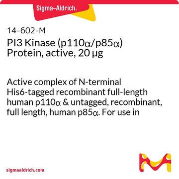 PI3 Kinase (p110&#945;/p85&#945;) Protein, active, 20 &#181;g Active complex of N-terminal His6-tagged recombinant full-length human p110&#945; &amp; untagged, recombinant, full length, human p85&#945;. For use in Kinase Assays.