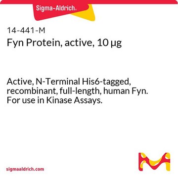 Fyn Protein, active, 10 &#181;g Active, N-Terminal His6-tagged, recombinant, full-length, human Fyn. For use in Kinase Assays.