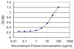Monoclonal Anti-RTKN2 antibody produced in mouse clone 2C2, purified immunoglobulin, buffered aqueous solution