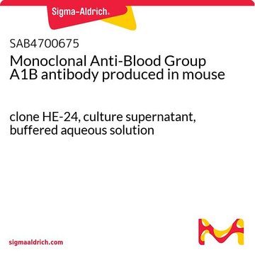 Monoclonal Anti-Blood Group A1B antibody produced in mouse clone HE-24, culture supernatant, buffered aqueous solution