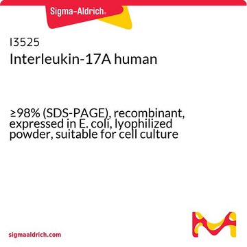 Interleukin-17A human &#8805;98% (SDS-PAGE), recombinant, expressed in E. coli, lyophilized powder, suitable for cell culture