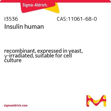 人胰岛素 recombinant, expressed in yeast, &#947;-irradiated, suitable for cell culture