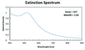 Gold nanoparticles 5 nm diameter, silica coated, OD 1, dispersion in H2O