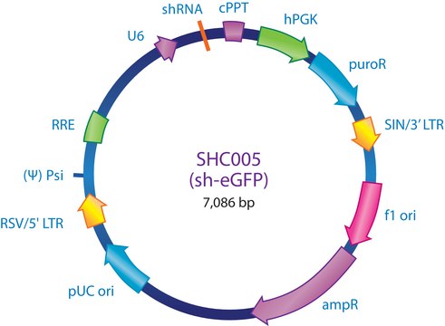 MISSION&#174; eGFP Control Transduction Particles shRNA sequence targeting eGFP