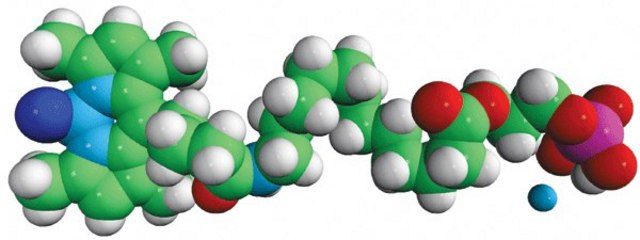 TopFluor&#174; Lyso PA Avanti Polar Lipids 810280P, powder