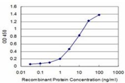 Monoclonal Anti-HOXB7 antibody produced in mouse clone 4F9, purified immunoglobulin, buffered aqueous solution
