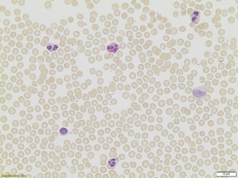 Leukocyte Alkaline Phosphatase Kit based on naphthol AS-BI and fast red violet LB