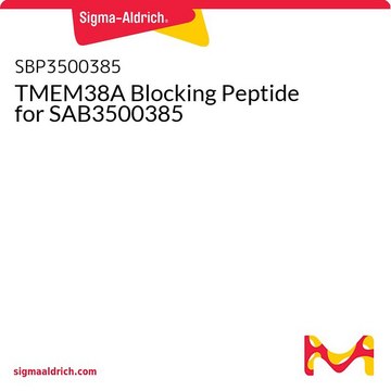 TMEM38A Blocking Peptide for SAB3500385