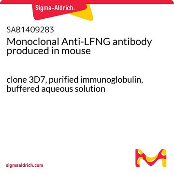 Monoclonal Anti-LFNG antibody produced in mouse clone 3D7, purified immunoglobulin, buffered aqueous solution