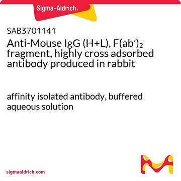 Anti-Mouse IgG (H+L), F(ab&#8242;)2 fragment, highly cross adsorbed antibody produced in rabbit affinity isolated antibody, buffered aqueous solution