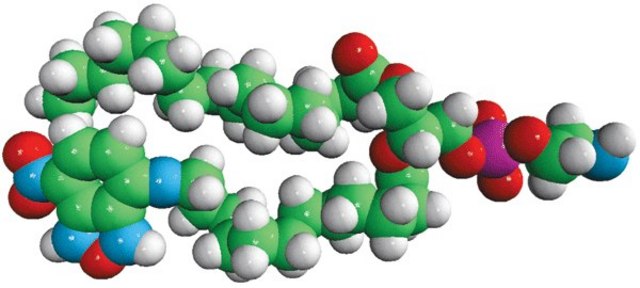 16:0-12:0 NBD PE Avanti Polar Lipids 810154P, powder