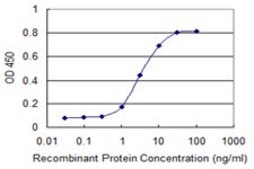 Monoclonal Anti-SRGN antibody produced in mouse clone 1D8, purified immunoglobulin, buffered aqueous solution