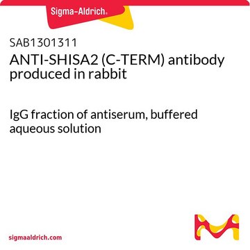 ANTI-SHISA2 (C-TERM) antibody produced in rabbit IgG fraction of antiserum, buffered aqueous solution