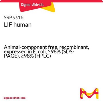 LIF human Animal-component free, recombinant, expressed in E. coli, &#8805;98% (SDS-PAGE), &#8805;98% (HPLC)