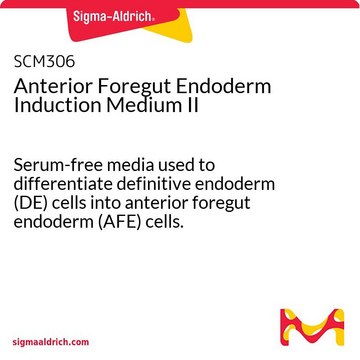 Anterior Foregut Endoderm Induction Medium II Serum-free media used to differentiate definitive endoderm (DE) cells into anterior foregut endoderm (AFE) cells.