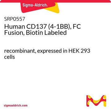 Human CD137 (4-1BB), FC Fusion, Biotin Labeled recombinant, expressed in HEK 293 cells