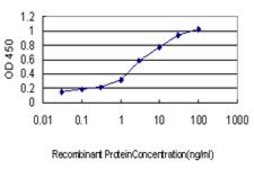 Monoclonal Anti-NBL1 antibody produced in mouse clone 2G4, purified immunoglobulin, buffered aqueous solution