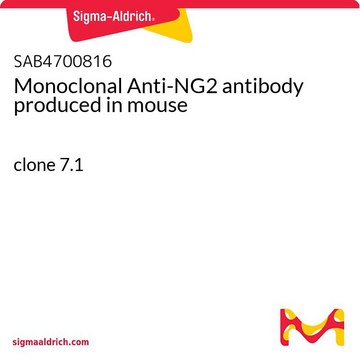 Monoclonal Anti-NG2 antibody produced in mouse clone 7.1