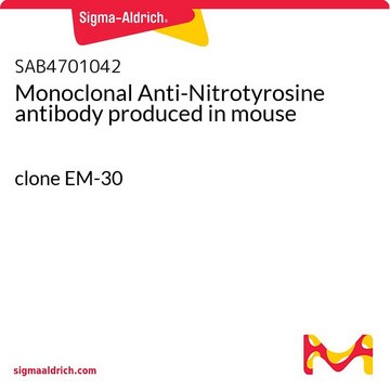 Monoclonal Anti-Nitrotyrosine antibody produced in mouse clone EM-30