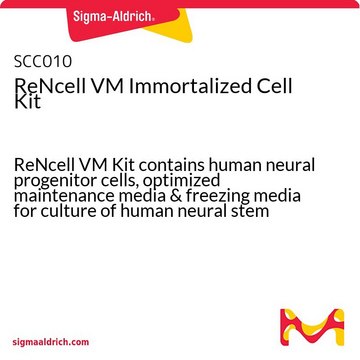 ReNcell VM永生化细胞试剂盒 ReNcell VM Kit contains human neural progenitor cells, optimized maintenance media &amp; freezing media for culture of human neural stem cells.