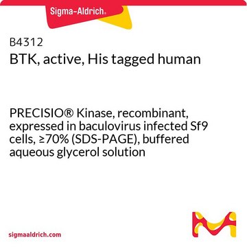 BTK，活性，His 标记 人 PRECISIO&#174; Kinase, recombinant, expressed in baculovirus infected Sf9 cells, &#8805;70% (SDS-PAGE), buffered aqueous glycerol solution