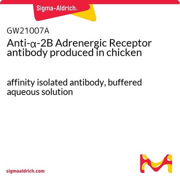 Anti-&#945;-2B Adrenergic Receptor antibody produced in chicken affinity isolated antibody, buffered aqueous solution