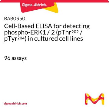 检测磷酸化ERK1 / 2 (pThr202 / pTyr204) 的基于细胞的ELISA试剂盒 96&#160;assays