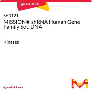 MISSION&#174; shRNA Human Gene Family Set, DNA Kinases