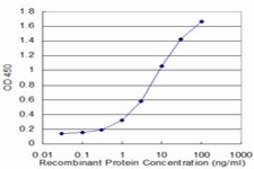 Monoclonal Anti-FCN1 antibody produced in mouse clone 2B7, purified immunoglobulin, buffered aqueous solution