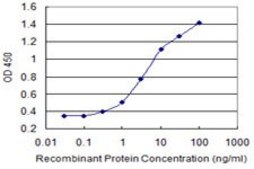 Monoclonal Anti-ENPP3 antibody produced in mouse clone 1G11, purified immunoglobulin, buffered aqueous solution