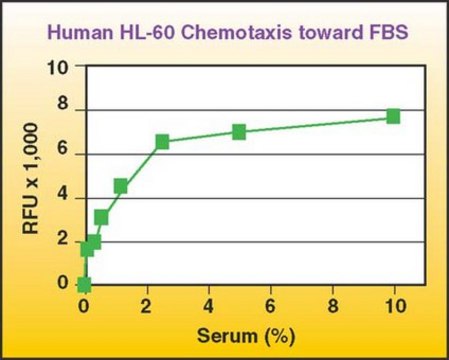 QCM趋化细胞迁移分析，96孔（3 &#181;m），荧光法 The Chemicon QCM 3 uM 96-well Migration Assay provides a quick &amp; efficient system for quantitative determination of various factors on cell migration, including screening of pharmacological agents or evaluation of integrins.