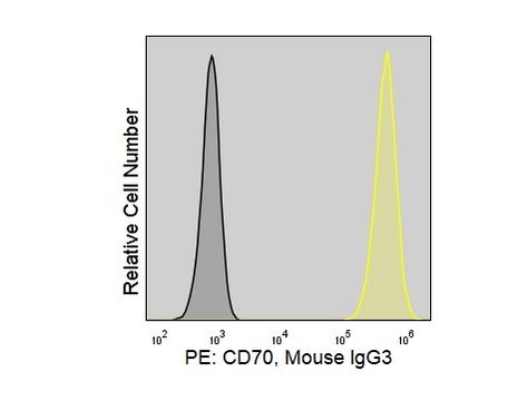 Anti-Human CD70 (Ki-24) ColorWheel&#174; Dye-Ready mAb