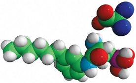 W146 (R)-3-Amino-(3-hexylphenylamino)-4-oxobutylphosphonic acid (TFA salt), powder