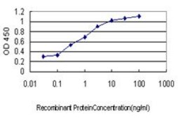 Monoclonal Anti-GPR24 antibody produced in mouse clone 3D7, purified immunoglobulin, buffered aqueous solution