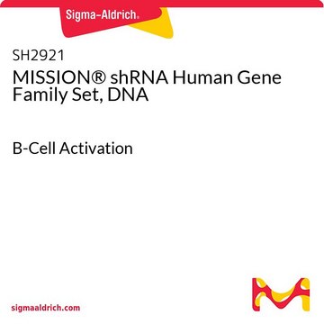 MISSION&#174; shRNA人基因家族集，DNA B-Cell Activation