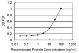 Monoclonal Anti-SGOL1 antibody produced in mouse clone 4G6, purified immunoglobulin, buffered aqueous solution