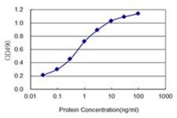 Monoclonal Anti-PTPRS antibody produced in mouse clone 1H6, purified immunoglobulin, buffered aqueous solution
