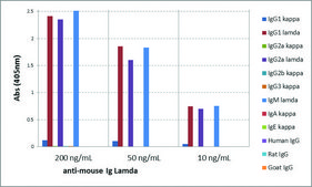Anti-Mouse Ig Lamda Light Chain antibody, Rabbit monoclonal recombinant, expressed in HEK 293 cells, clone RM110, purified immunoglobulin